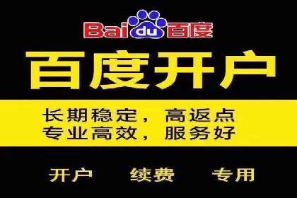 某某sem推广公司在某行业的应用与效果分析